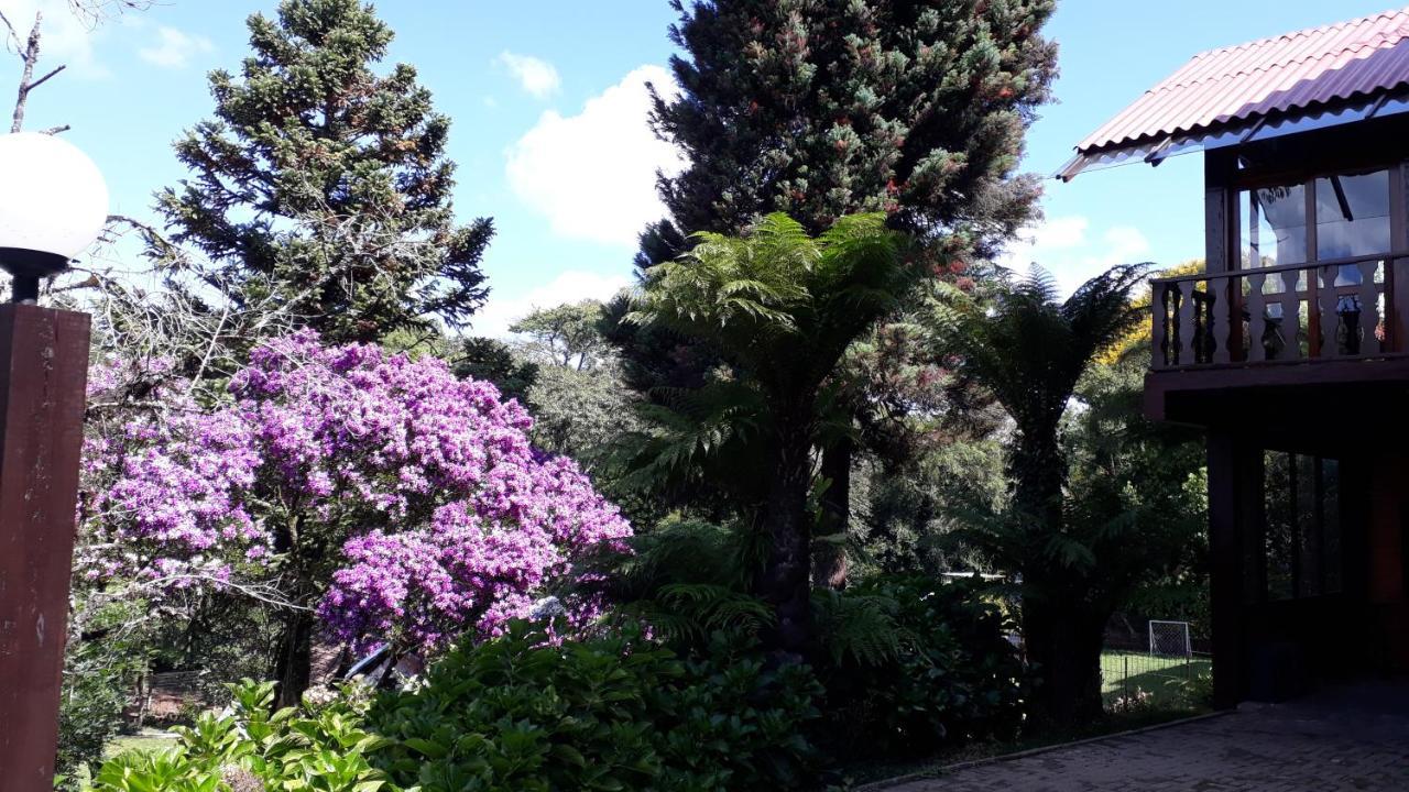 Casa Nobre Gramado Villa Bagian luar foto