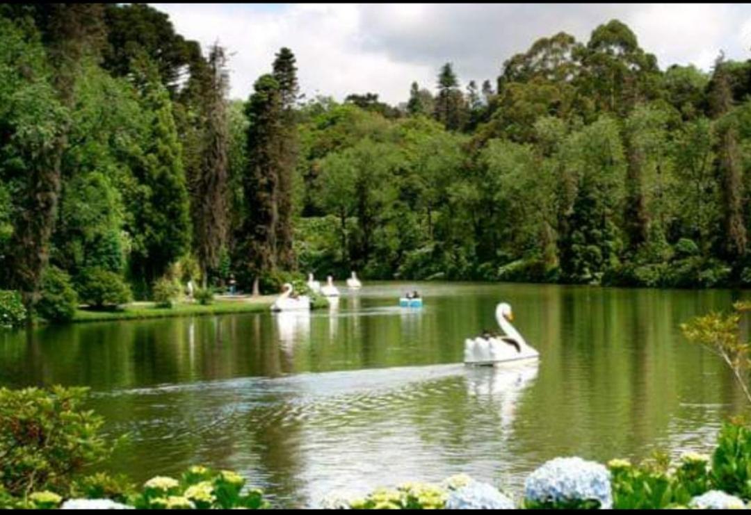 Casa Nobre Gramado Villa Bagian luar foto